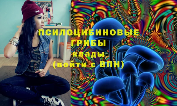 мескалин Алзамай