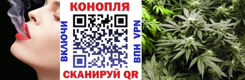 Марихуана сатива  ОМГ ОМГ маркетплейс  Александров 